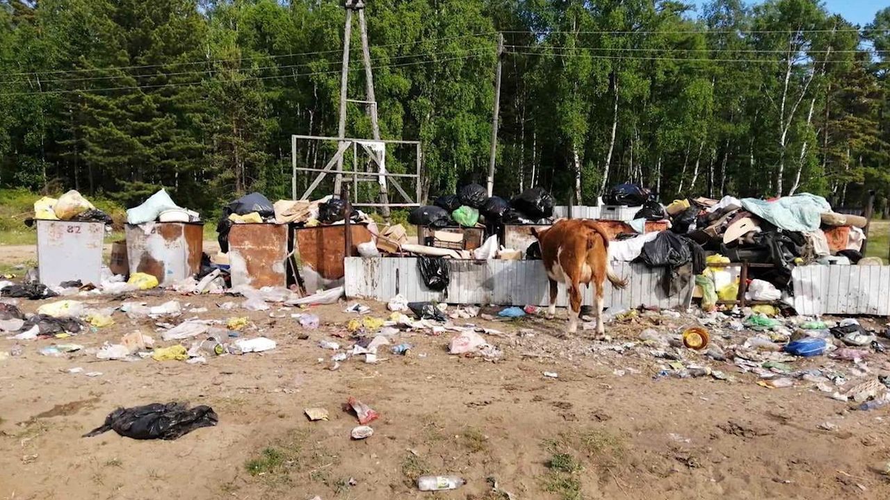 Сухая бурятия. Мусорная свалка. Мусорный полигон. Мусор на природе. Мусорная помойка.