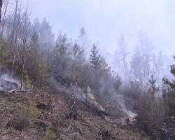 В Бурятии с поджигателя леса взыщут свыше миллиона рублей