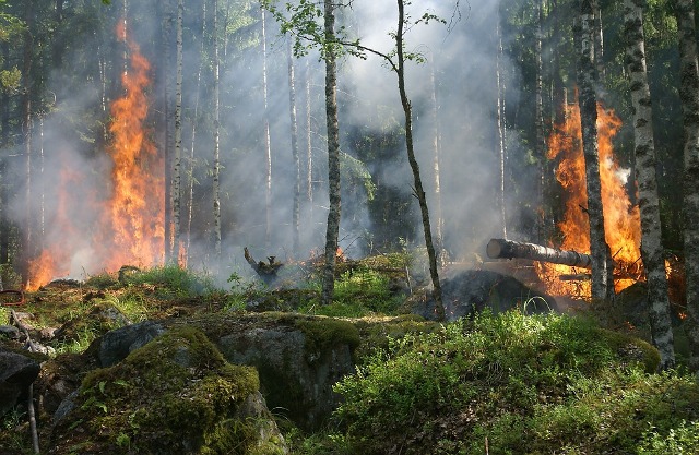 В Бурятии горит почти 2 тысячи га леса