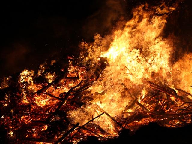 РАЛХ: В 2016 году количество лесных пожаров в Бурятии снизилось в 2,5 раза