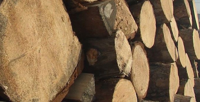 В Бурятии одинокий инвалид остался без дров на зиму из-за штрафа