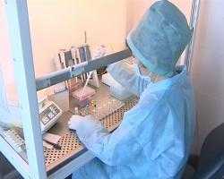 В Иркутске будут изготавливать вакцину от свиного гриппа