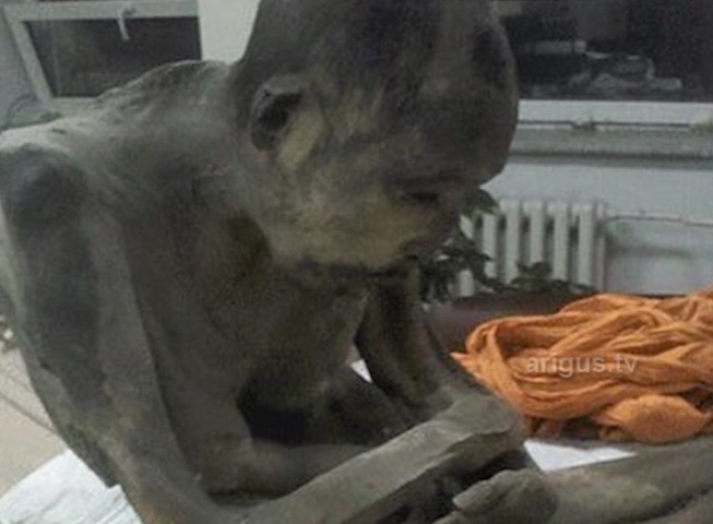 Учёные: 200-летняя «живая мумия» из Улан-Батора принадлежит учителю легендарного хамбо-ламы Итигэлова