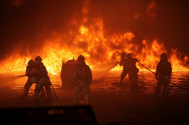В Монголии сгорел крупнейший в мире кашемировый завод «Гоби»