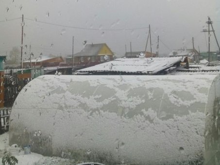 На северо-востоке Бурятии в преддверии лета выпал снег