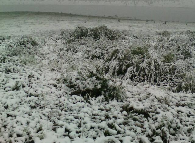 Просто август в Бурятии: В Окинском районе выпал снег