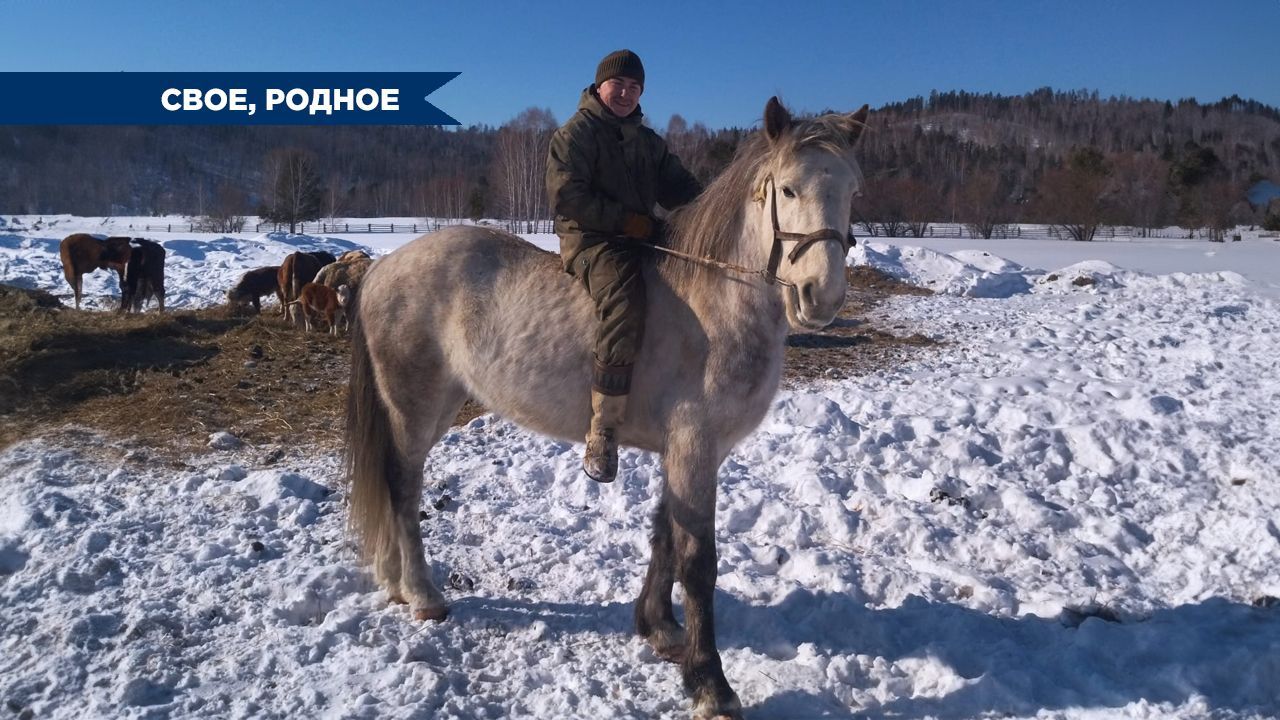 Рыба или мясо? Фермер из Бурятии занимается скотоводством и переработкой  рыбы