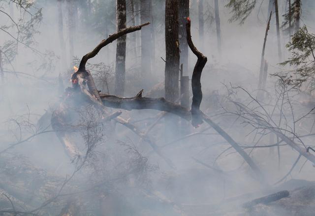 Читу накрыло дымом от лесных пожаров из Бурятии