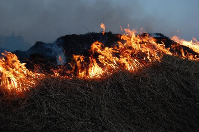 В Бурятии виновник лесного пожара предстанет перед судом
