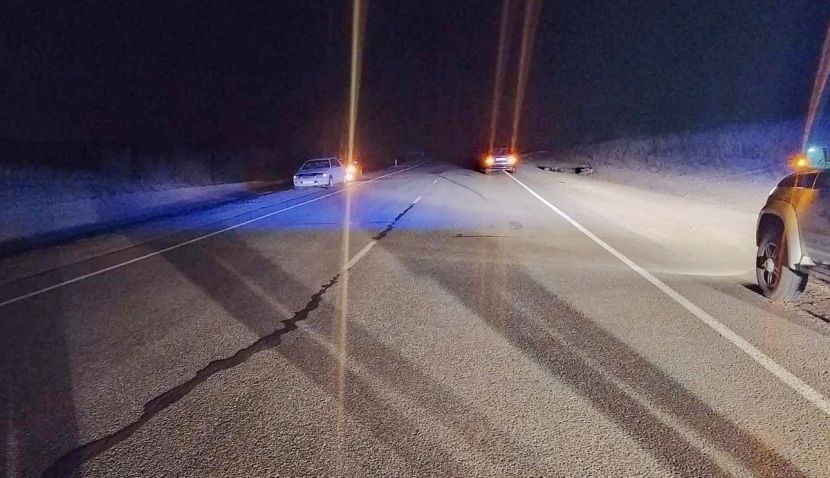 Чем покрасить асфальт во дворе частного дома