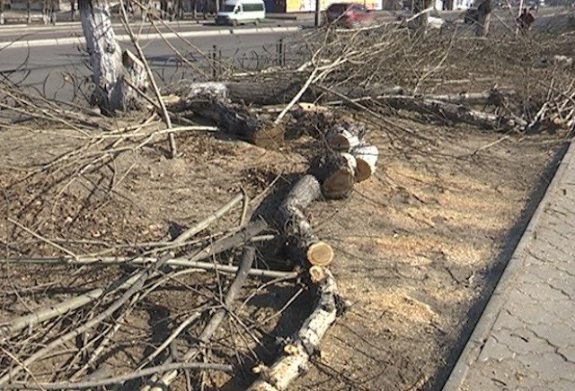 Несколько домов в Улан-Удэ обесточили из-за поваленных деревьев