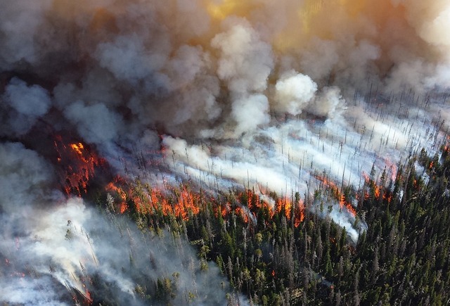 В Бурятии площадь лесных пожаров возросла до 5,3 тысяч га