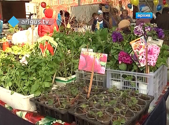От рассады до поросят: в Улан-Удэ откроется традиционная ярмарка «Сад-огород»