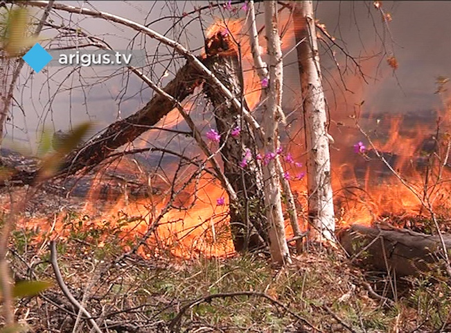 Новые лесные пожары обнаружены в Бурятии