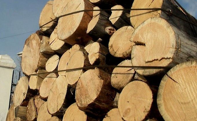 В Улан-Удэ семьям мобилизованных начали доставлять дрова и уголь