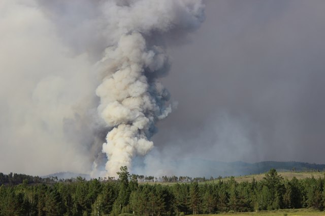 В Бурятии горит 33 тысячи гектаров леса