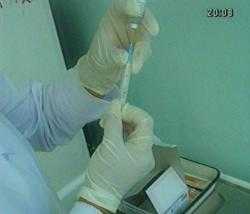 В России началось промышленное производство вакцин  против свиного гриппа