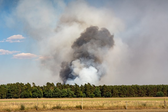 В Бурятии обнаружили новый лесной пожар 