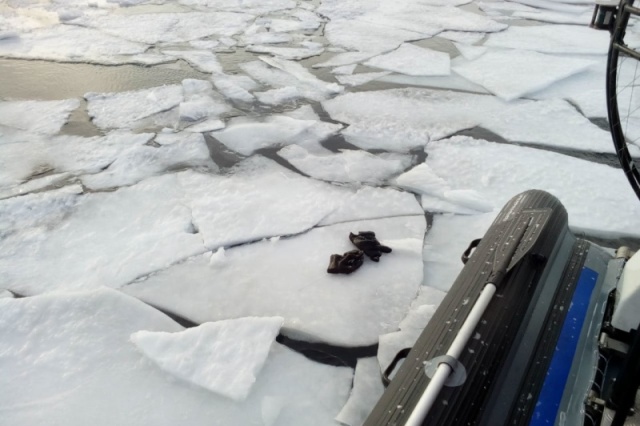 Мужчина едва не погиб, провалившись под лед на Байкале