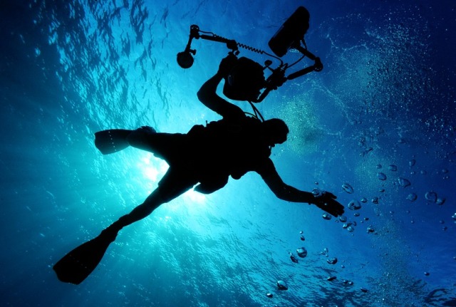 Чемпионат по подводной фотографии пройдет на Байкале