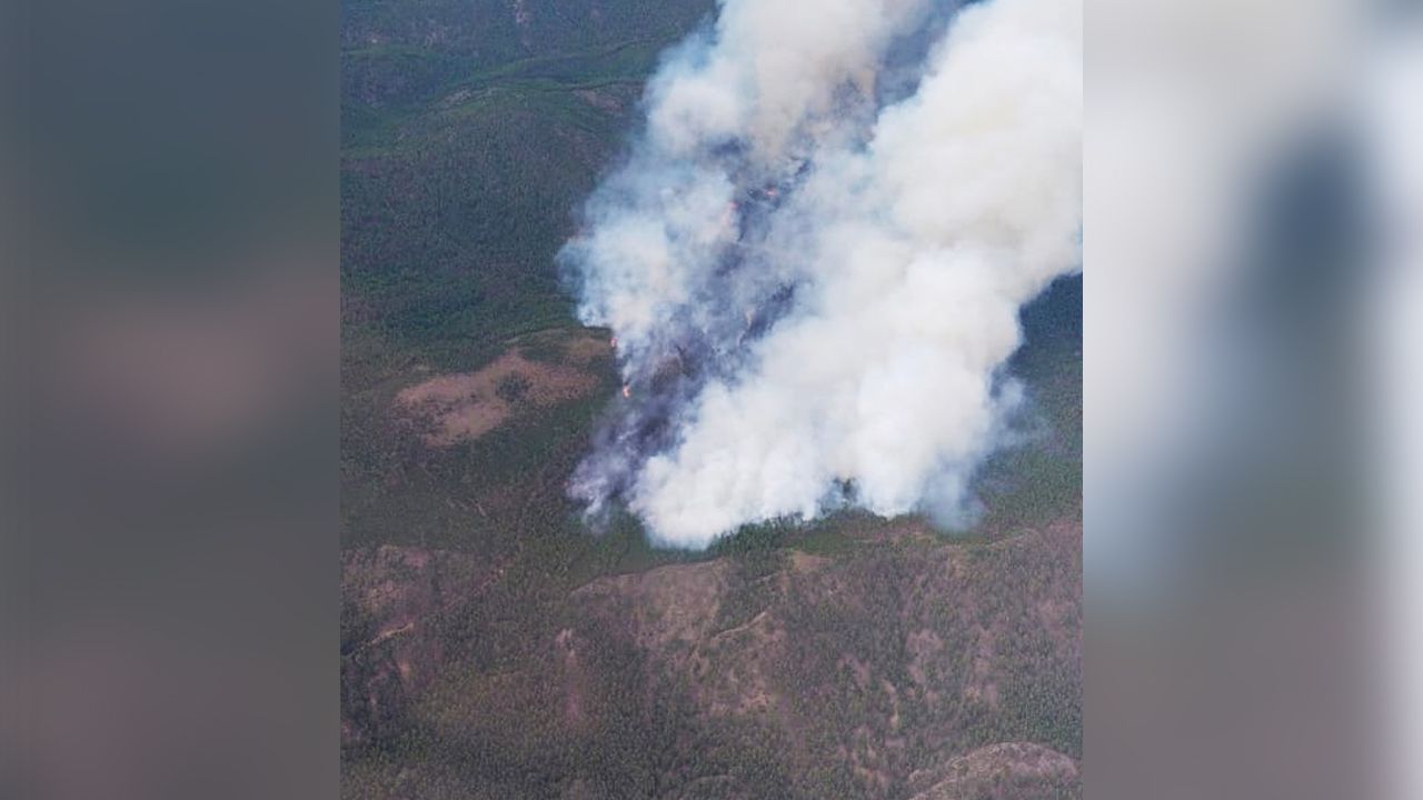 Лесные пожары в бурятии презентация