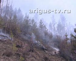 В Бурятии утвержден план мероприятий по профилактике и борьбе с лесными пожарами