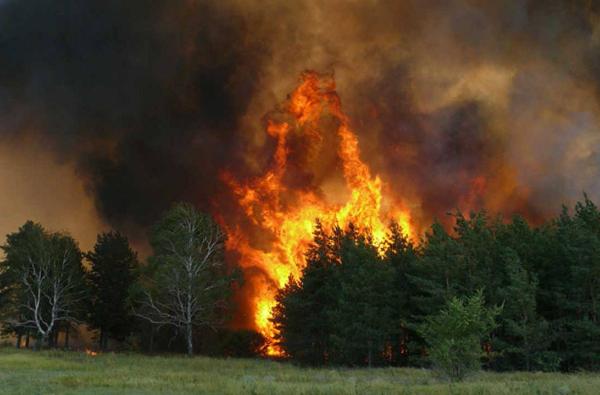 За сутки количество пожаров в Сибири увеличилось на 100 гектаров 
