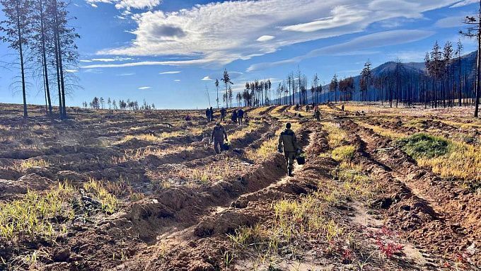 Внеплановая проверка выявила нарушения у лесников Бурятии
