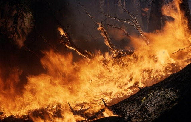  В Бурятии потушили крупный лесной пожар
