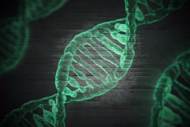 В Улан-Удэ уличного грабителя удалось вычислить по ДНК 