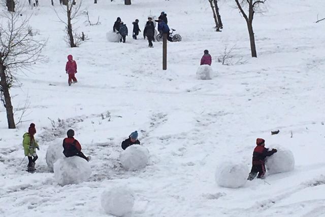 Снегопад в преддверии весны в Улан-Удэ: Обзор соцсетей 