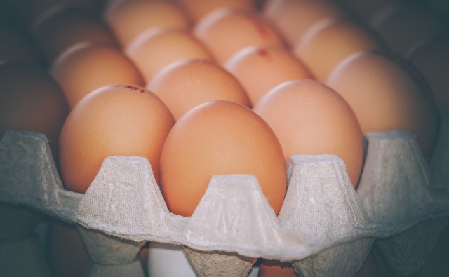 15 миллионов яиц в год. На Улан-Удэнскую птицефабрику завезли немецкое оборудование 