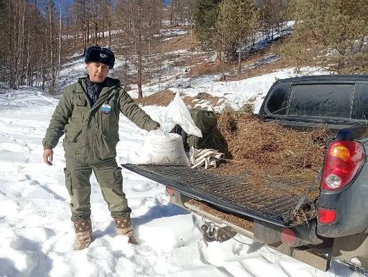 фото: Бурприроднадзор