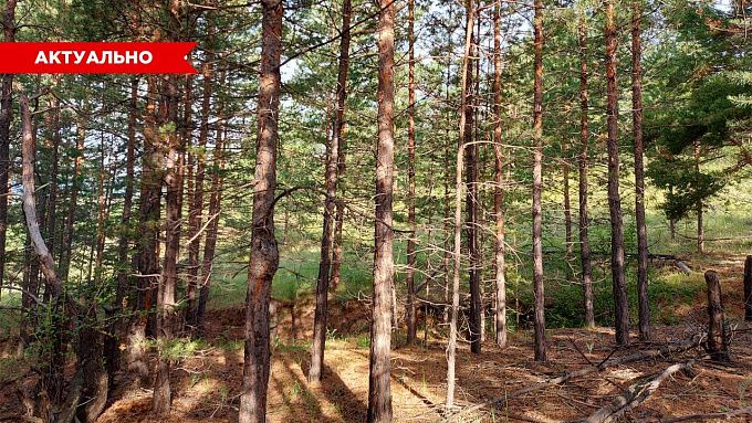 Простые заповеди. Как не заблудиться в лесу