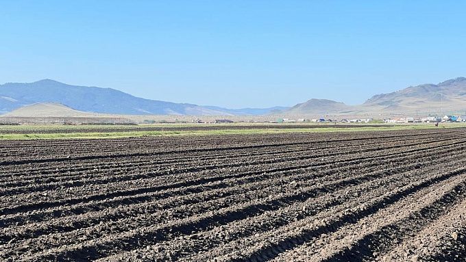 Под будущий семенной фонд Бурятии отдали 80 гектаров