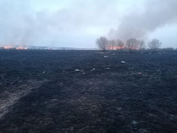 В Бурятии двое сельчан устроили пожар площадью 60 гектаров