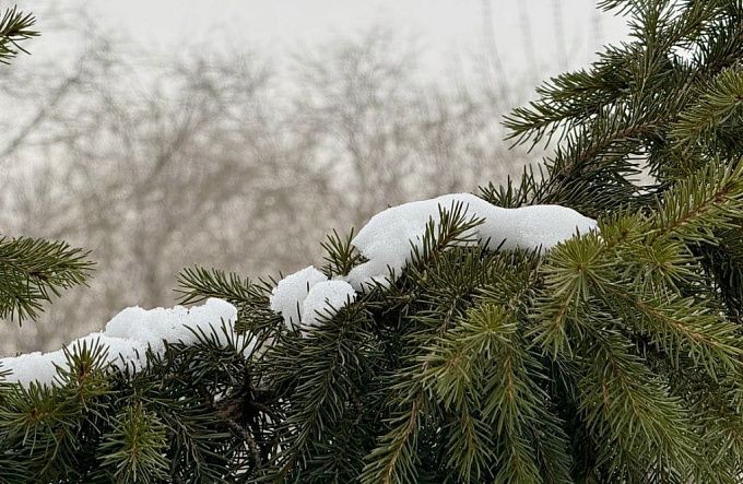 До -39 и сильные снегопады ожидаются в Бурятии