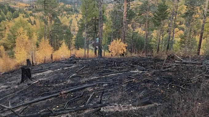 Лесной пожар потушили в районе Бурятии