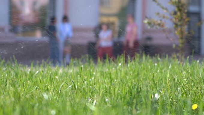 В Улан-Удэ пересмотрели подходы к озеленению городских территорий