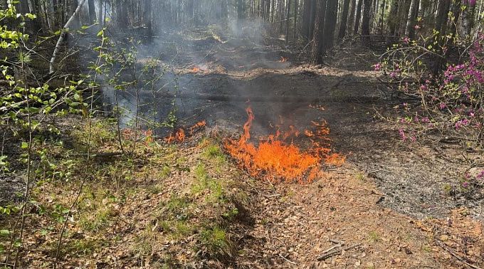 Сухие грозы и неосторожное обращение с огнем стали причинами пожаров в лесах Бурятии