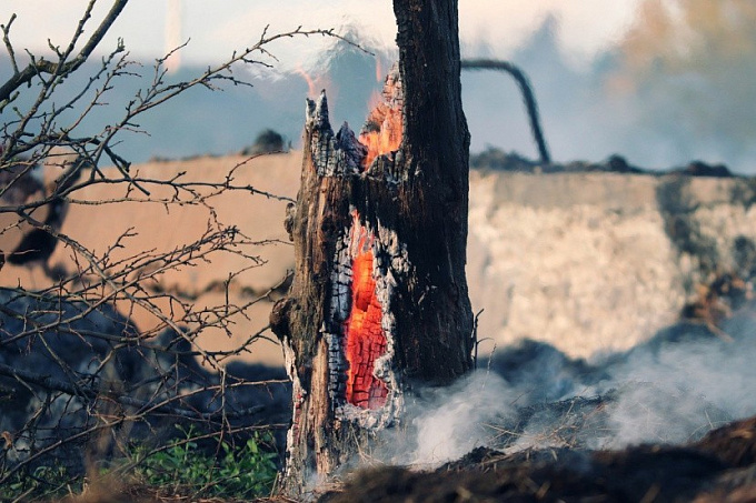 В нацпарке Бурятии произошли два лесных пожара
