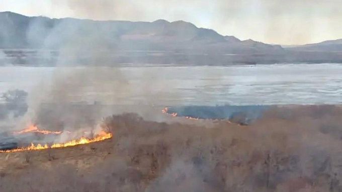Лесники спасли тайгу от огня в районе Бурятии