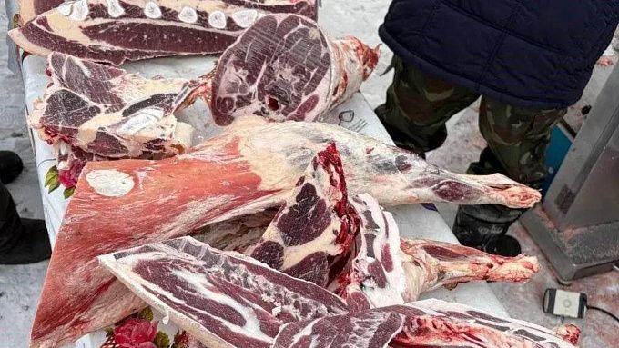 Жителям Бурятии рассказали, как отличить говядину от конины