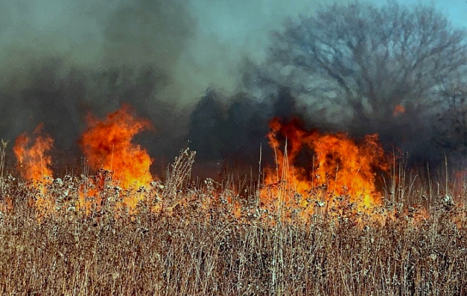 В Бурятии произошел пожар площадью в 2 гектара. Едва не загорелось село