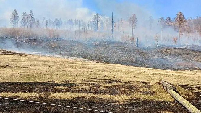 С начала года в Бурятии почти 240 раз горела сухая