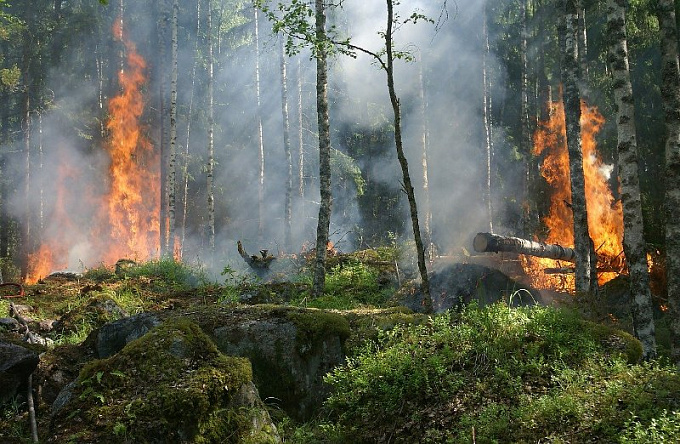 В Бурятии из-за бездействия работников лесхоза снова загорелись 8 пожаров