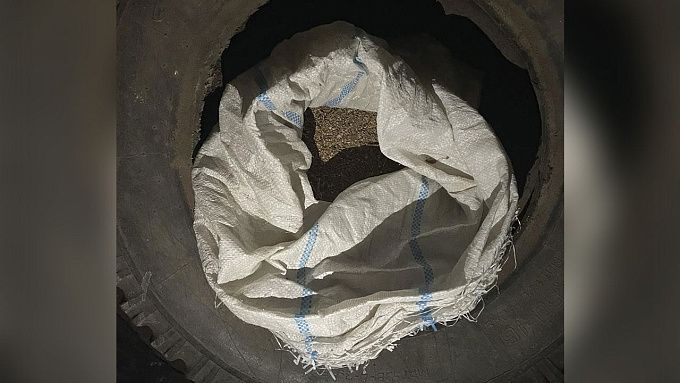 Житель Бурятии насобирал больше 10 кг марихуаны и три уголовных дела