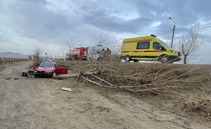 В Бурятии водитель «Хонды» снес дерево и попал в больницу