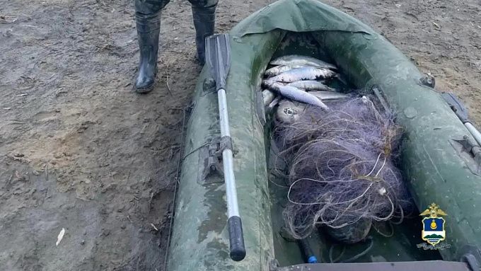 Житель Бурятии самодельной сетью нелегально наловил рыбы на 58 тысяч