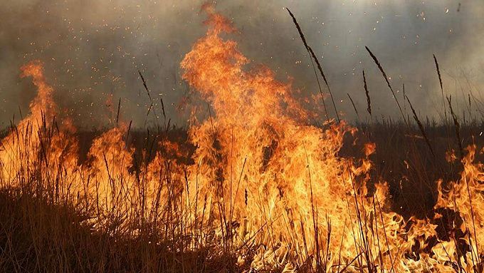 В Забайкалье вводят противопожарный режим 